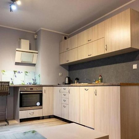 Апартаменты Mini Apartament Cracow / Krakow Z M. Postojowym Экстерьер фото